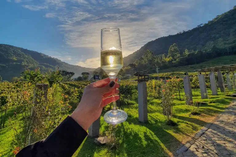 Ingresso Vitivinícola Jolimont com degustação + presente especial