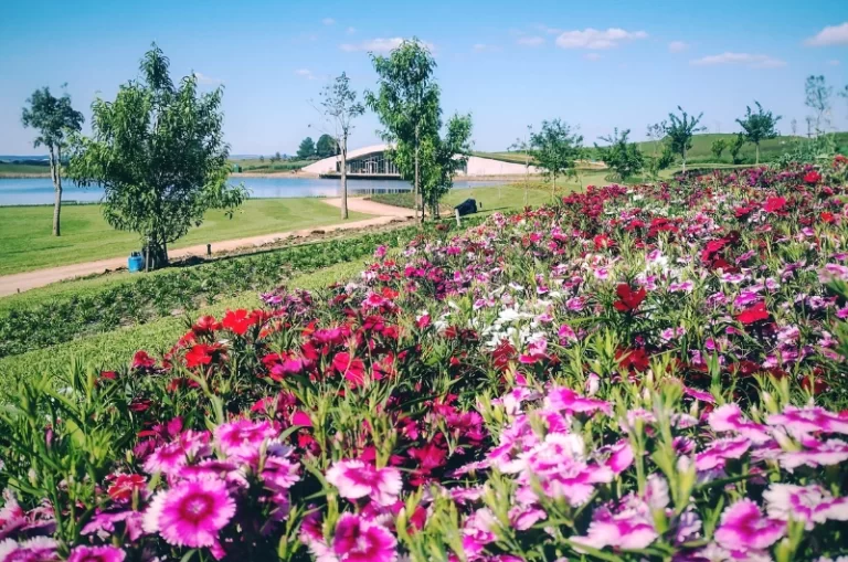 Ingresso Mátria – parque de flores – São Francisco de Paula