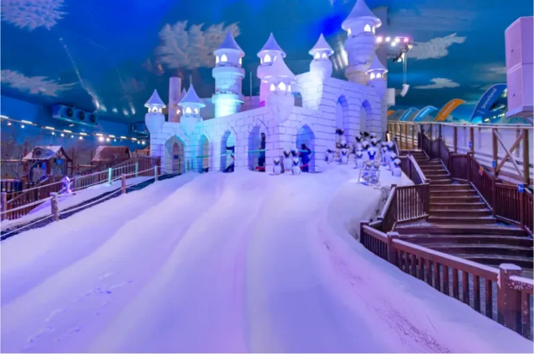Passaporte Snowland